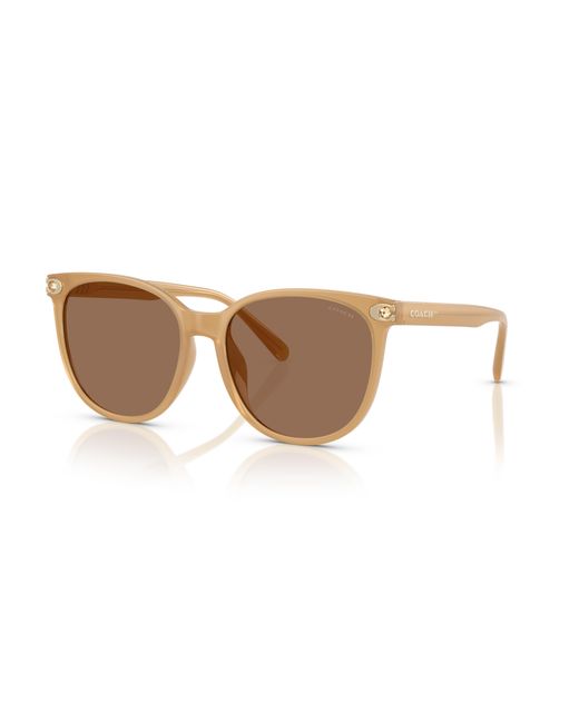 COACH Black Sunglass Cw428