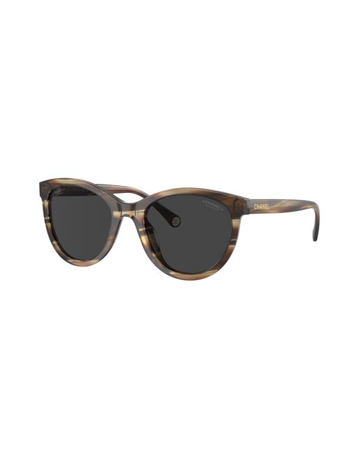 Chanel Black Sunglass Pantos Sunglasses CH5523U