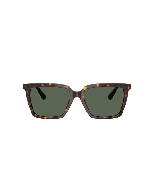 Jimmy Choo Black Sunglasses Jc5051