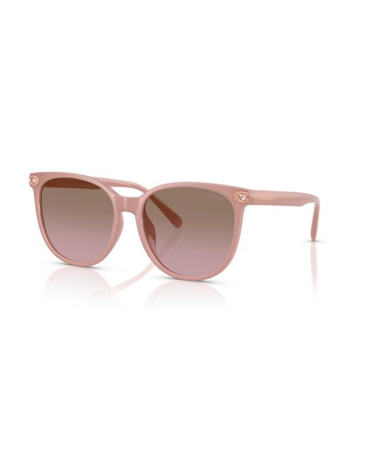 COACH Black Sunglasses Cw428
