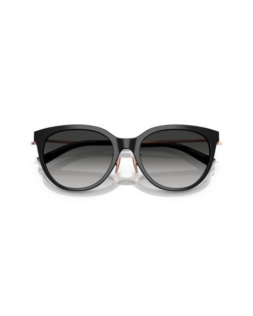 Tiffany & Co Black Sunglass Tf4243d