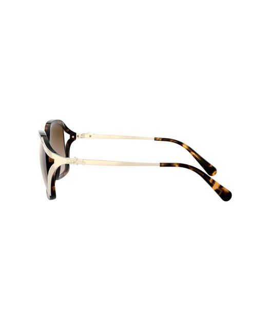 COACH Black Sunglass L1116