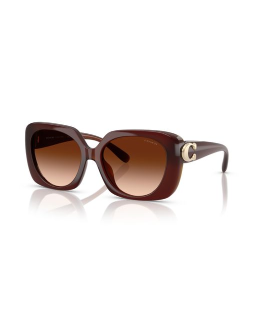 COACH Black Sunglass Cad33