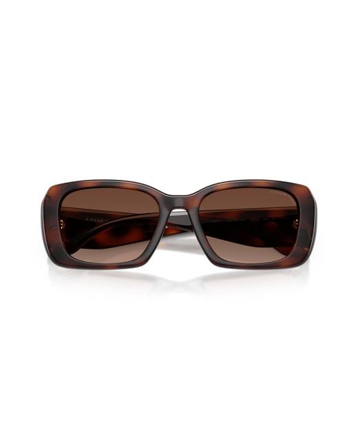 COACH Black Sunglass Hc8435u Cby82