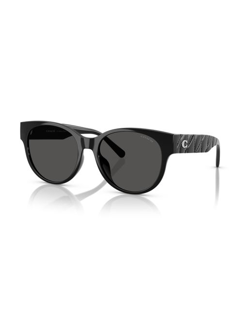 COACH Black Sunglass Cae87