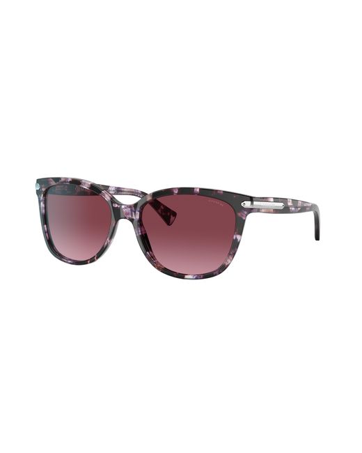 COACH Black Sunglass L109