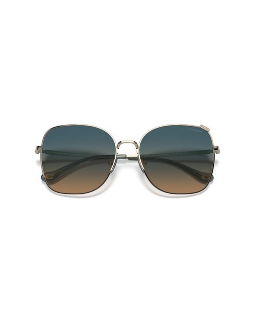 COACH Black Hc7133 Sunglasses