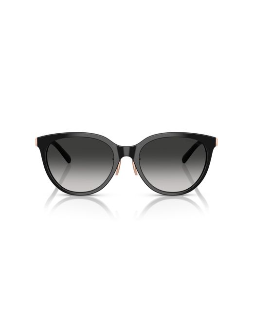 Tiffany & Co Black Sunglass Tf4243d