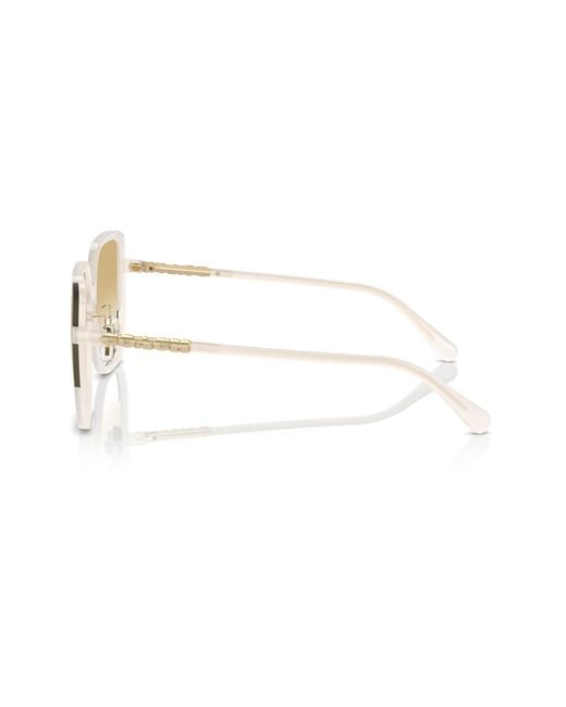 COACH Black Sunglass Cr635