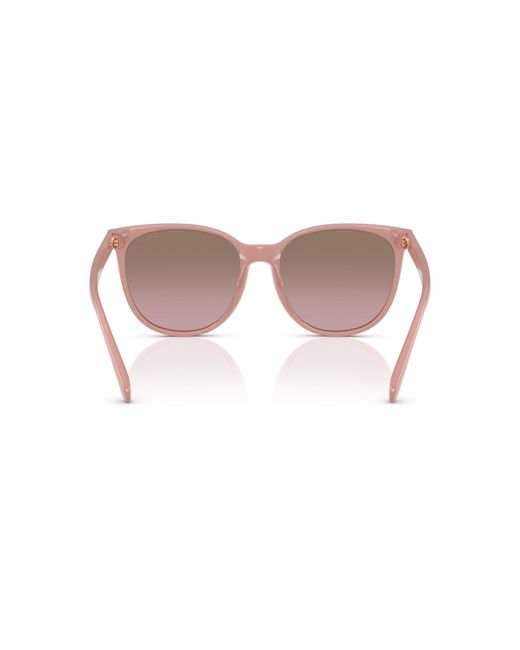 COACH Black Sunglasses Cw428