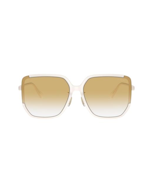 COACH Black Sunglass Cr635