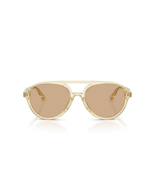 Jimmy Choo Black Sunglass Jc5055u