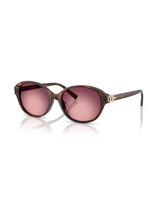Tiffany & Co Black Sunglass Tf4263d