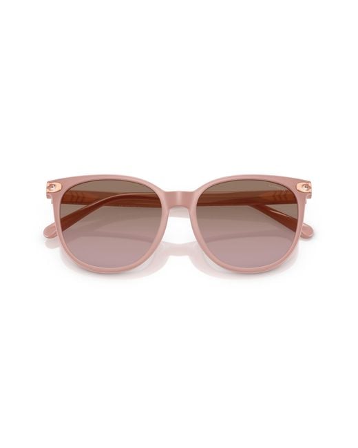 COACH Black Sunglasses Cw428