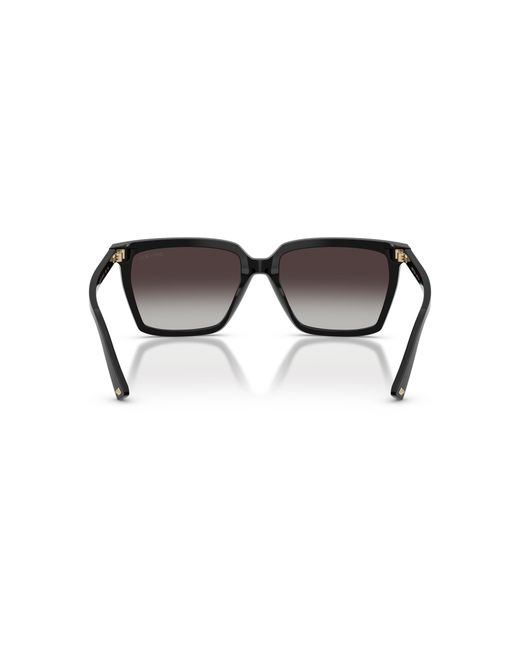 Jimmy Choo Black Sunglasses Jc5051