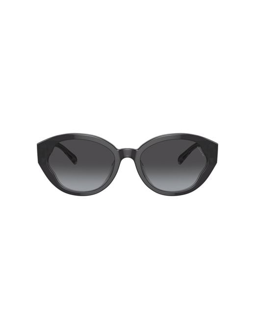 COACH Black Sunglass Ch569