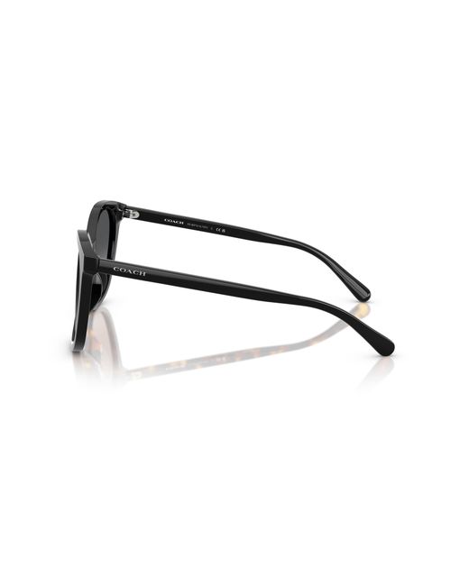 COACH Black Hc8271u Universal Fit Sunglasses