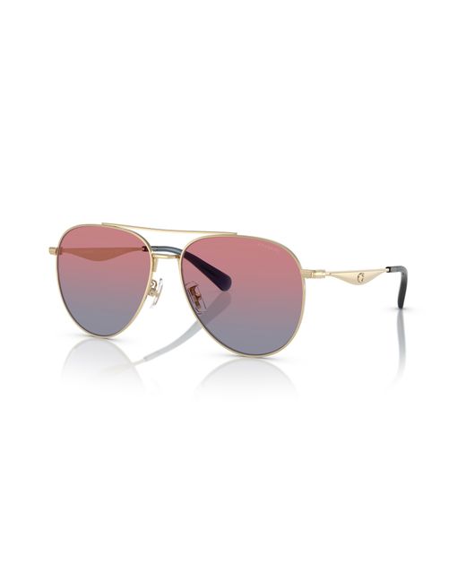 COACH Black Sunglass Cw193