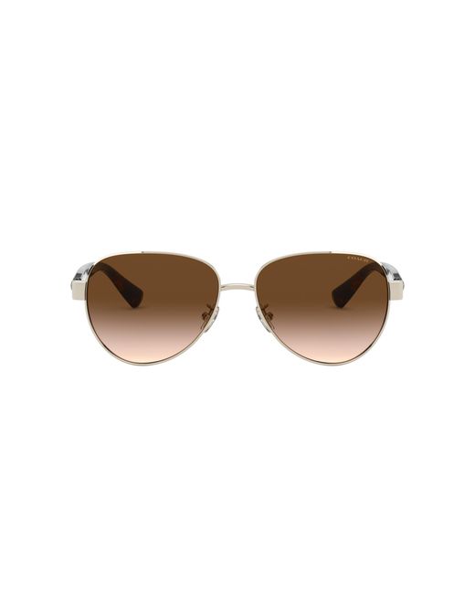 COACH Black Hc7111 Sunglasses