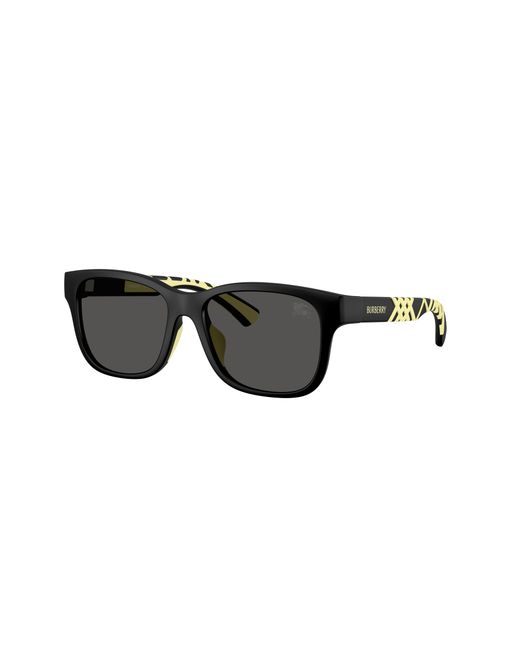Burberry Black Sunglass Jb4007u