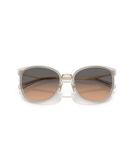 COACH Black Sunglass Cw185