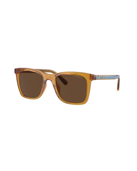 COACH Black Sunglass Ch561