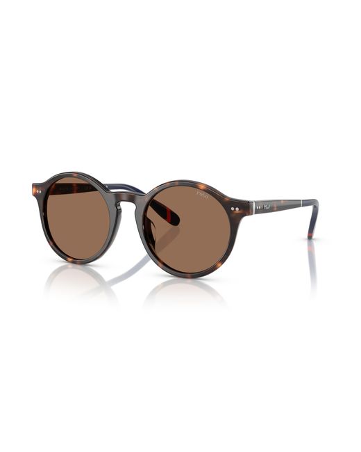 Polo Ralph Lauren Black Sunglasses Ph4204U for men