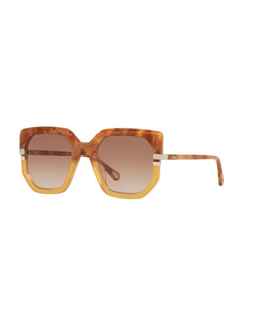 Chloé Black Sunglass Ch0240s