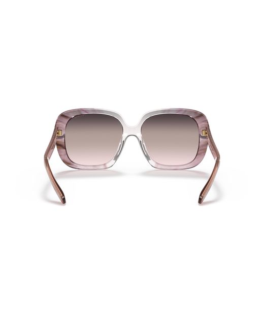 COACH Black Hc8323u Universal Fit Sunglasses