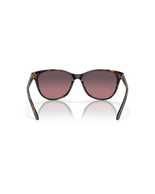 Costa Black Sunglass Catherine