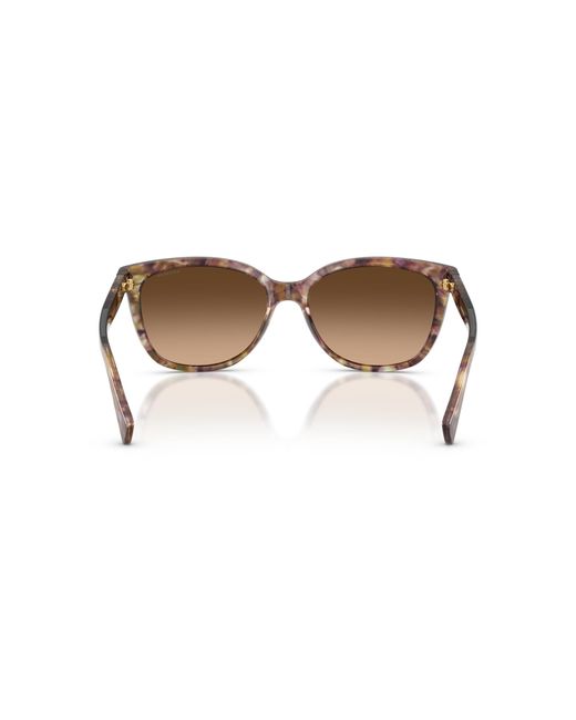 COACH Black Hc8132 Sunglasses