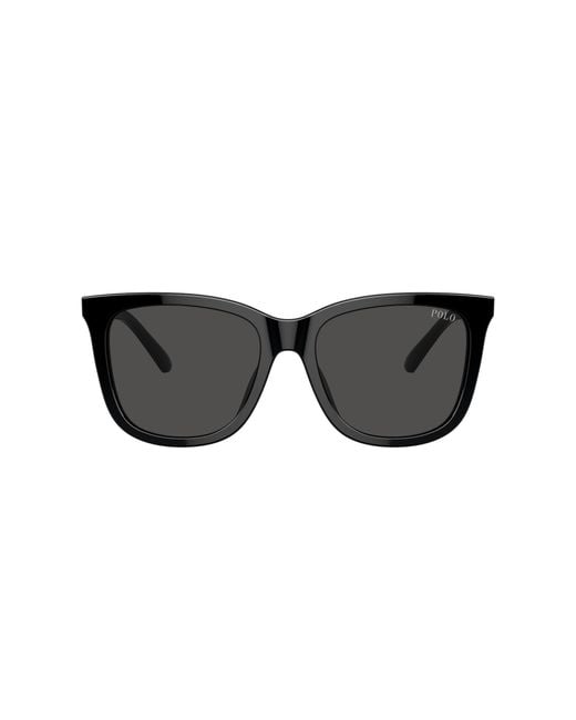 Polo Ralph Lauren Black Sunglass Ph4201u