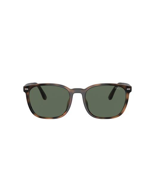 Polo Ralph Lauren Black Sunglass Ph4208u for men