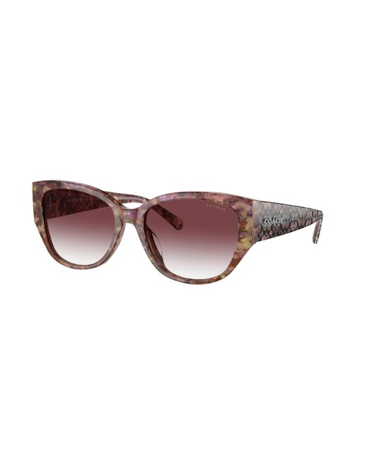 COACH Black Sunglass Hc8362u Ch563