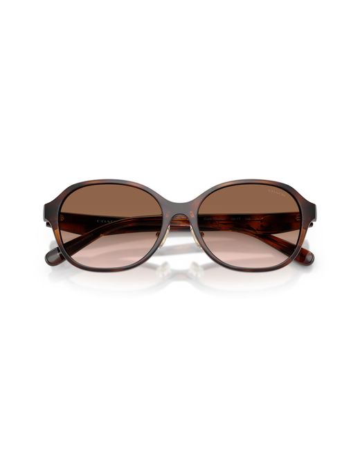 COACH Black Sunglass Cby85