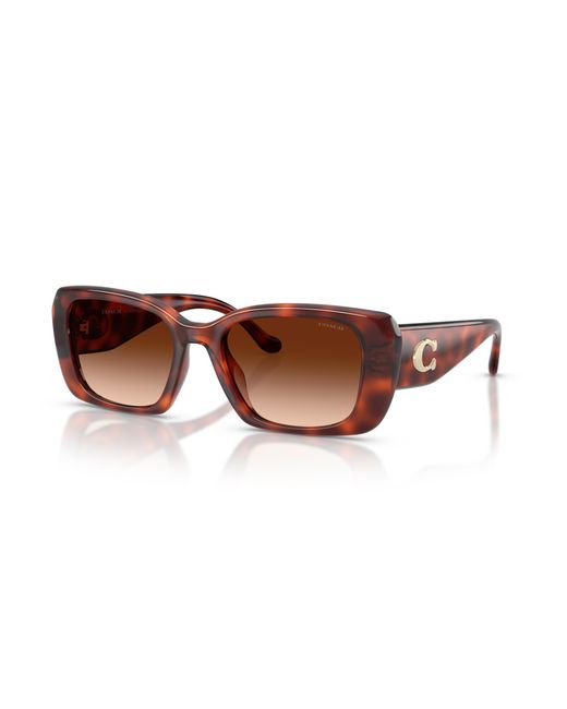 COACH Black Sunglass Cby82
