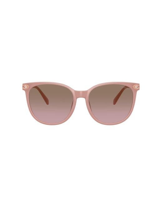 COACH Black Sunglasses Cw428