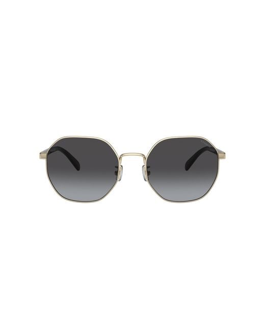 COACH Black Sunglass Ch556
