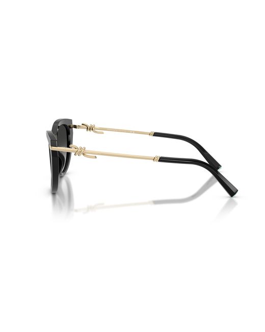 Tiffany & Co Black Sunglass Tf4253