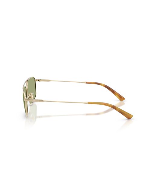 Polo Ralph Lauren Black Sunglasses Ph3164