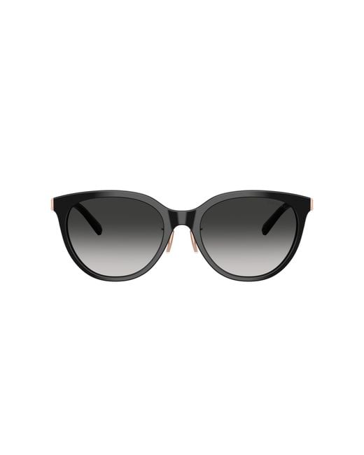 Tiffany & Co Black Sunglass Tf4243d