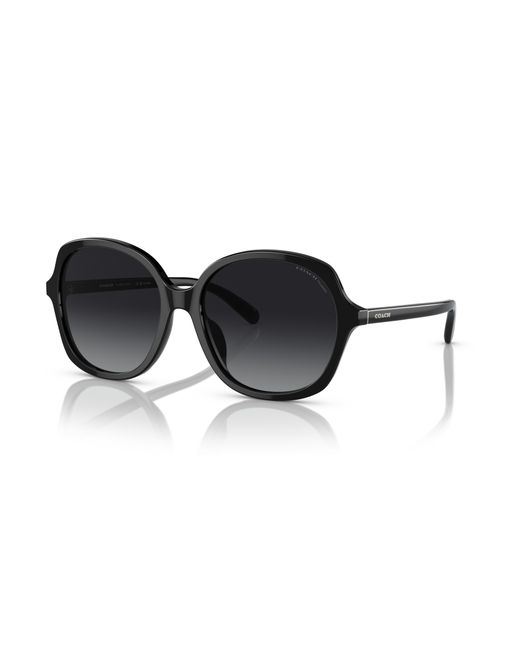 COACH Black Sunglass Hc8360u Ch557