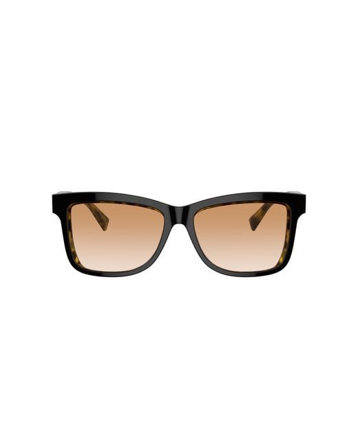 Brunello Cucinelli Black Sunglass Bc4009s