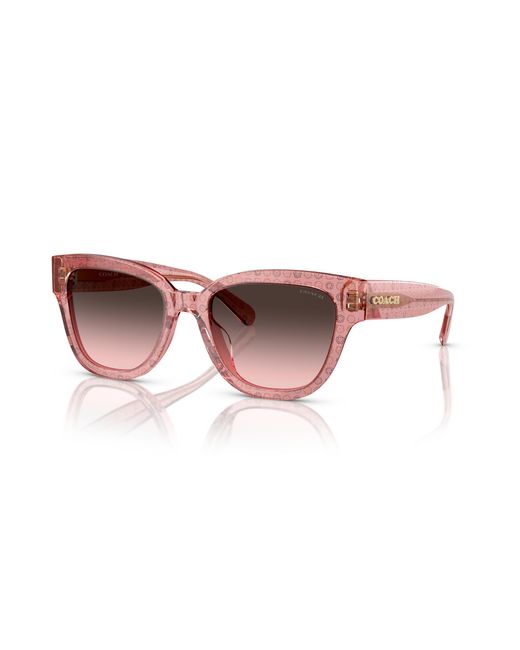 COACH Black Sunglass Hc8379u Cl920