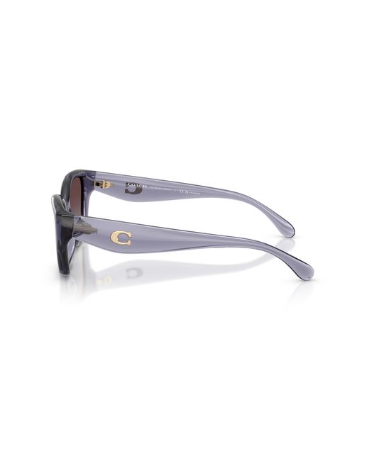 COACH Black Sunglass Cby91