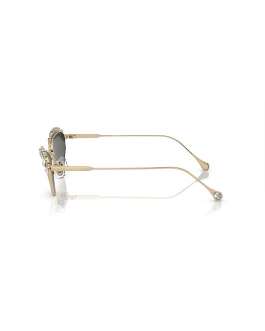 Swarovski Black Sunglasses Sk7009