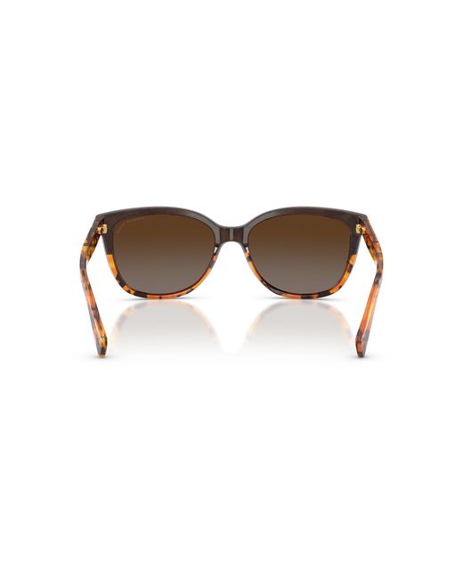 COACH Black Hc8132 Sunglasses