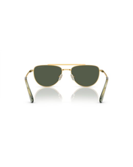 Swarovski Black Sunglass Sk7007