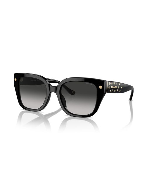 COACH Black Hc8392u Universal Fit Sunglasses