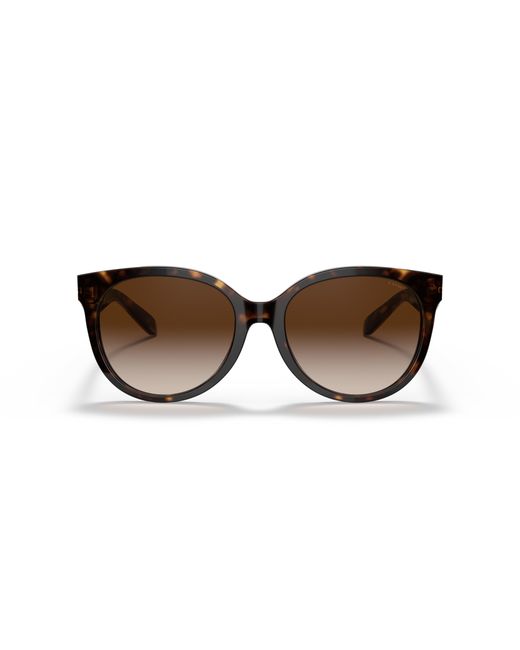 COACH Black Sunglasses Hc8321f